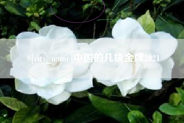 临汾中国的几块金牌2021