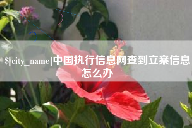 临汾中国执行信息网查到立案信息怎么办