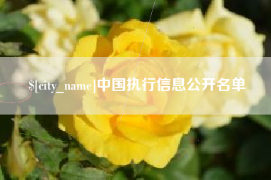 临汾中国执行信息公开名单