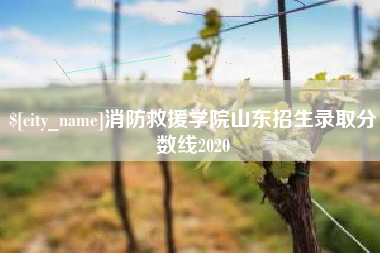临汾消防救援学院山东招生录取分数线2020