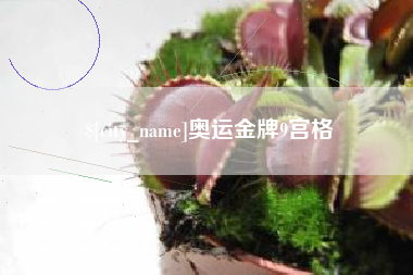临汾奥运金牌9宫格