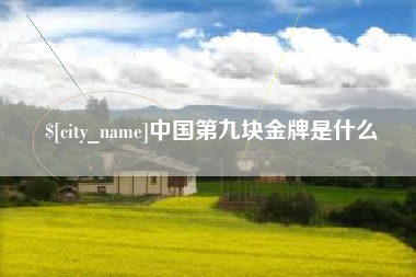 临汾中国第九块金牌是什么