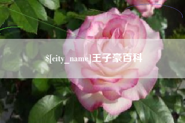 临汾王子豪百科