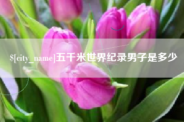 临汾五千米世界纪录男子是多少
