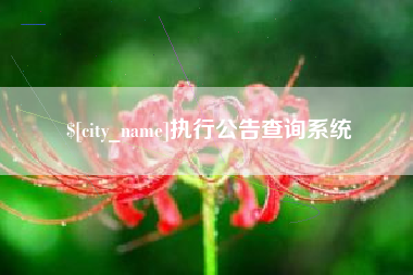 临汾执行公告查询系统