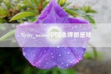 临汾中国金牌都是啥