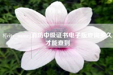 临汾消防中级证书电子版查询多久才能查到