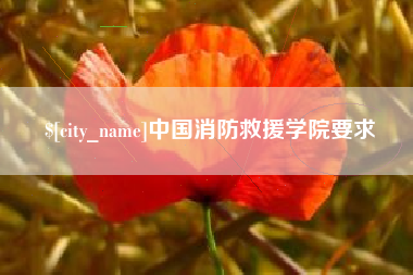 临汾中国消防救援学院要求