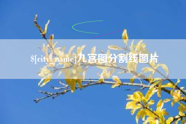 临汾九宫图分割线图片