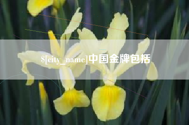 临汾中国金牌包括