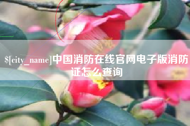 临汾中国消防在线官网电子版消防证怎么查询