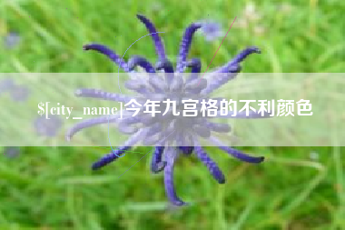 临汾今年九宫格的不利颜色