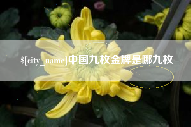 临汾中国九枚金牌是哪九枚