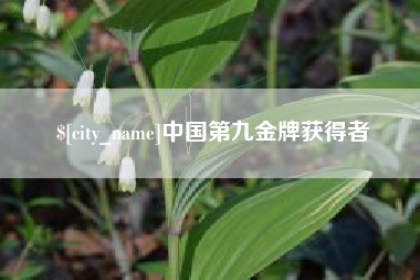 临汾中国第九金牌获得者