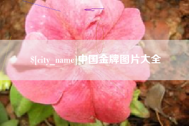 临汾中国金牌图片大全