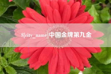 临汾中国金牌第九金