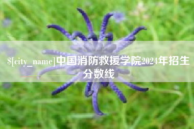 临汾中国消防救援学院2024年招生分数线