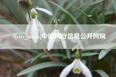 临汾中国执行信息公开网询