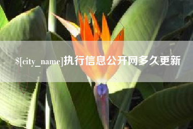 临汾执行信息公开网多久更新