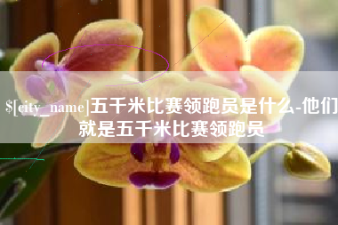 临汾五千米比赛领跑员是什么-他们就是五千米比赛领跑员