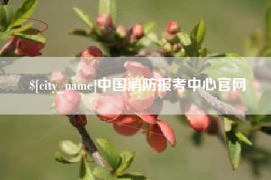 临汾中国消防报考中心官网
