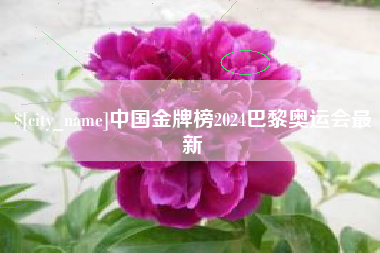 临汾中国金牌榜2024巴黎奥运会最新