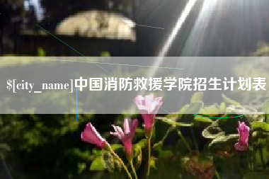 临汾中国消防救援学院招生计划表