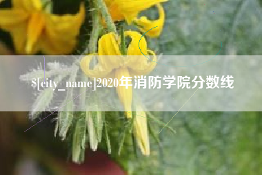 临汾2020年消防学院分数线