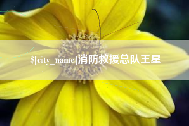 临汾消防救援总队王星