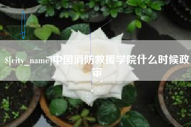 临汾中国消防救援学院什么时候政审