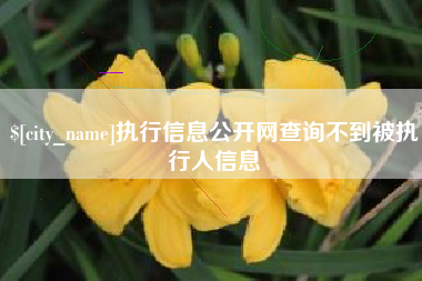 临汾执行信息公开网查询不到被执行人信息