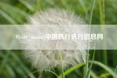 临汾中国执行执行信息网
