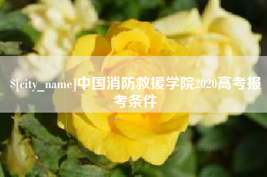 临汾中国消防救援学院2020高考报考条件