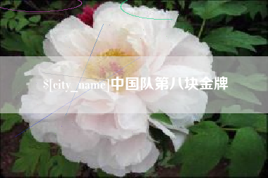 临汾中国队第八块金牌