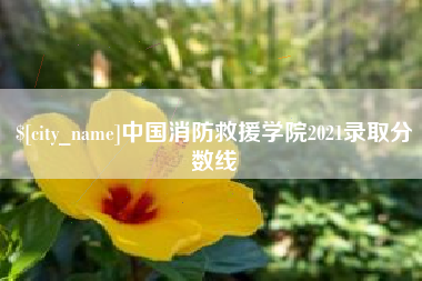 临汾中国消防救援学院2021录取分数线
