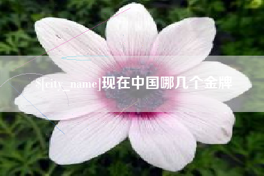 临汾现在中国哪几个金牌