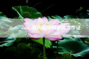 临汾消防证国网查询操作证