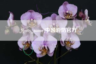 临汾中国消防官方