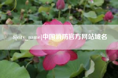 临汾中国消防官方网站域名