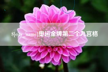 临汾奥运金牌第二个九宫格