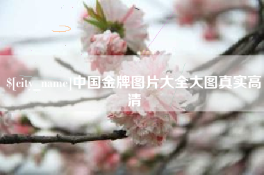 临汾中国金牌图片大全大图真实高清