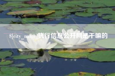 临汾执行信息公开网是干嘛的