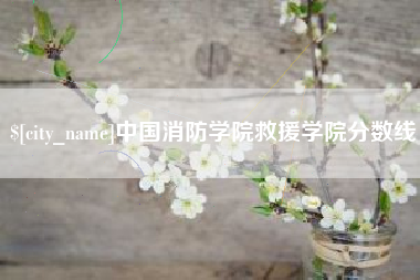 临汾中国消防学院救援学院分数线