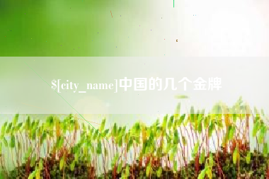 临汾中国的几个金牌
