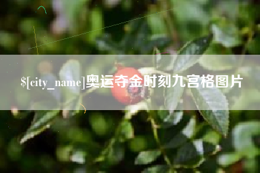 临汾奥运夺金时刻九宫格图片