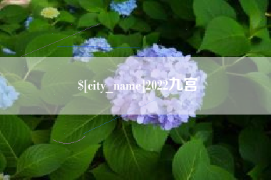 临汾2022九宫
