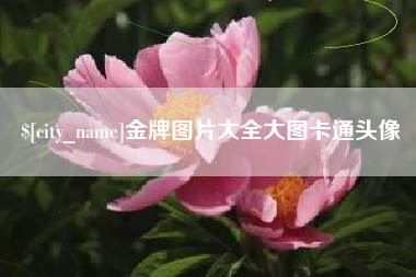 临汾金牌图片大全大图卡通头像
