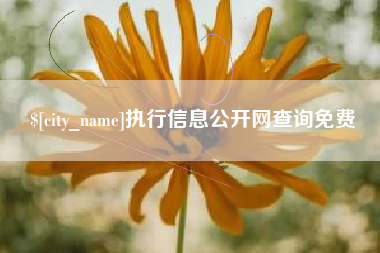 临汾执行信息公开网查询免费