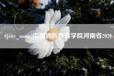 临汾中国消防救援学院河南省2020
